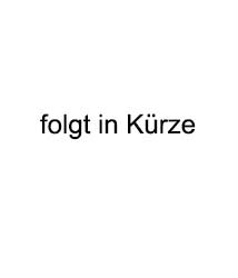 CVD Torusfräser mit 2 Schneiden KSE
